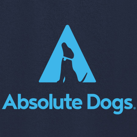 AD Logo Blue