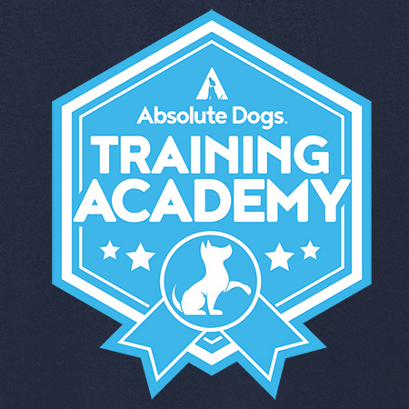 AD Training Academy Logo